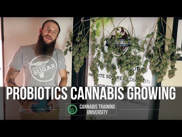 Soil Recycling & The Probiotic Grow Method - Cannabis Training University