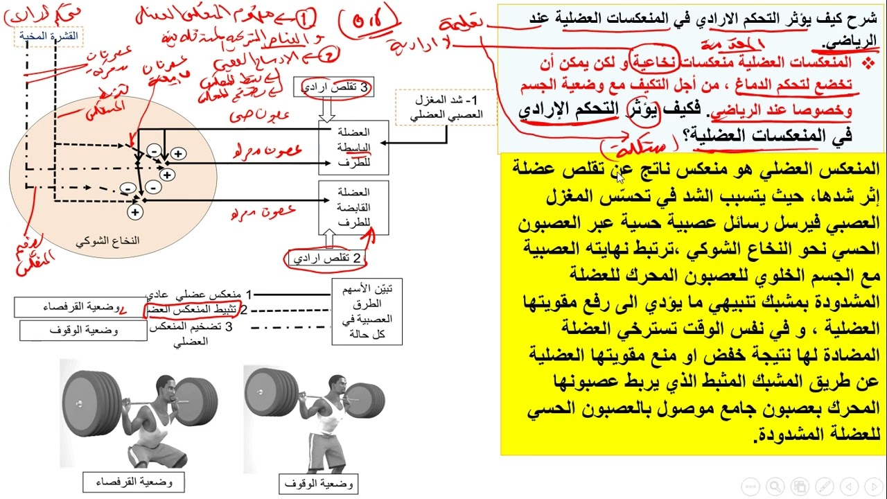 مراجعة التنظيم العصبي الحلقة الرابعة التدريب على كتابة نص علمي