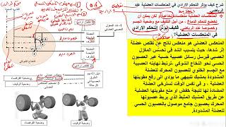 مراجعة التنظيم العصبي الحلقة الرابعة التدريب على كتابة نص علمي