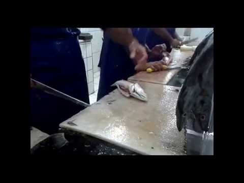 Como limpar pescada perna de moça com o MESTRE!