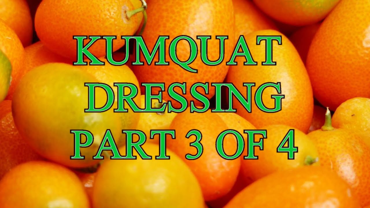 KUMQUAT DRESSING PART 3 OF 4 YouTube