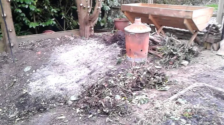 Gary's vegetable garden1