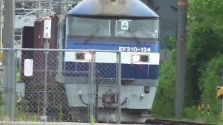 Electric Locomotive EF210-124 Passing