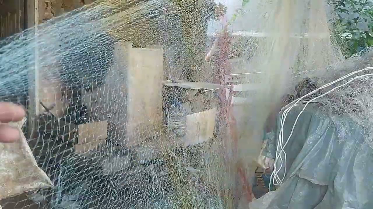 a maior Tarrafa de piada feita na mão