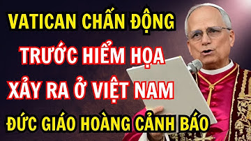 Đức Giáo Hoàng Leo XIV Cảnh Báo Hiểm Họa Kinh Hoàng Đang Xảy Ra Ở Việt Nam