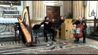 Mission - (Gabriel's Oboe) - E.Morricone - Arpa,Organo,Violino & Violoncello chords