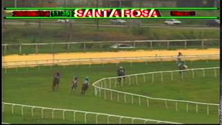 Arima Race Club - Day 22- June 20, 2014 - Race 1