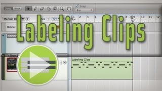 Reason 7: Labeling Clips In the Sequencer