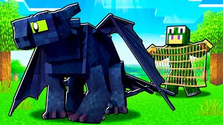 We Stole a Night Fury ! - Minecraft Dragons
