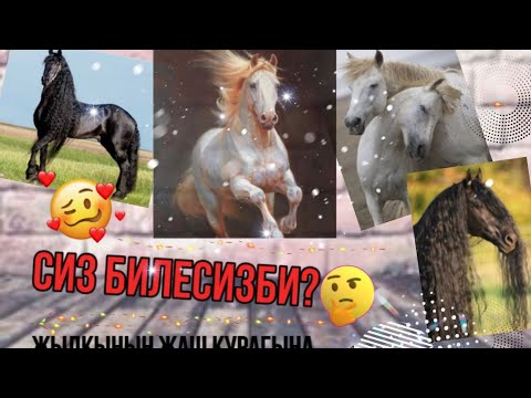 Video: Сервердин аталышы кандай