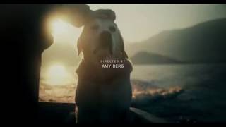 Dogs Opening Credits Intro - Theme Song Netflix