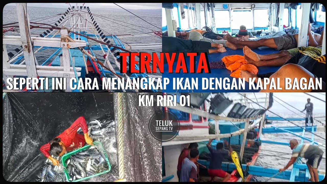 Ternyata seperti ini cara menangkap ikan dengan kapal bagan - Teluk sepang TV