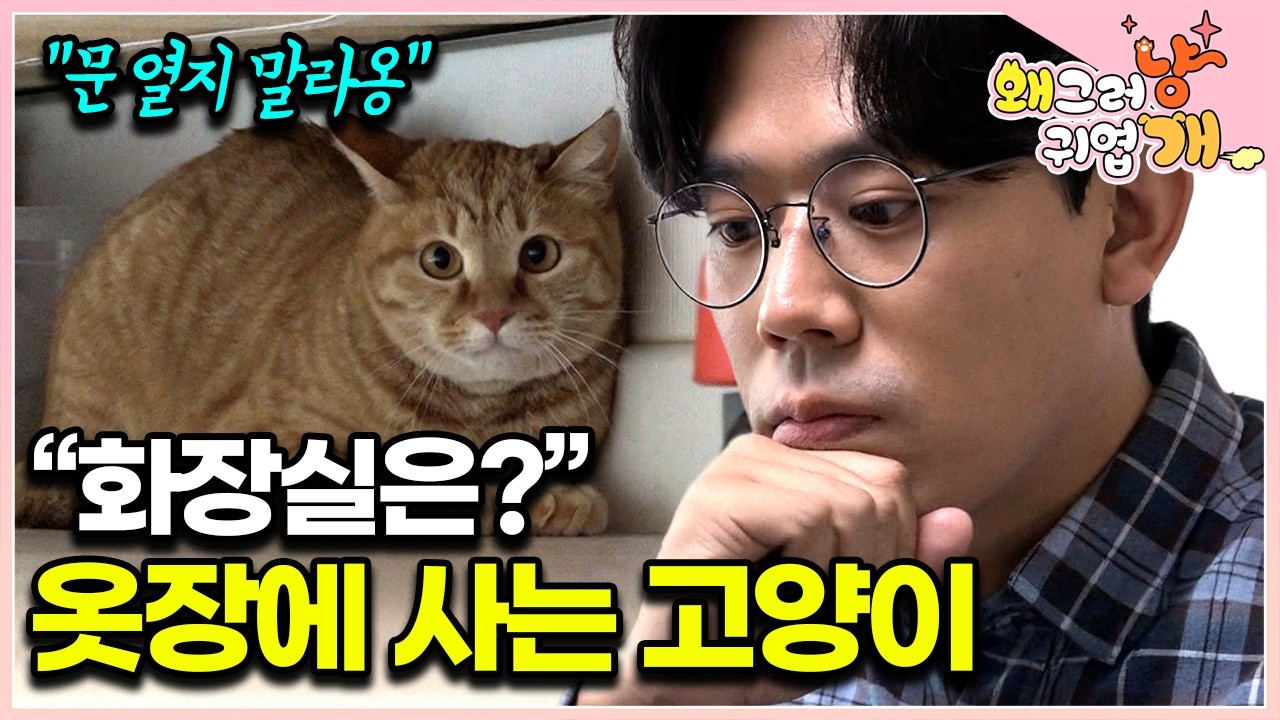 4년째 옷장 밖으로 나오지 않는 고양이│#왜그러냥귀엽개