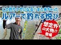 ウグイング？楽しすぎる川のルアー釣り の動画、YouTube動画。