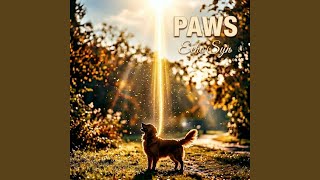 PAWS