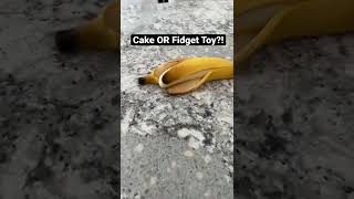 Cake OR Fidget Toy?! 😯🎂 | Mrs. Bench