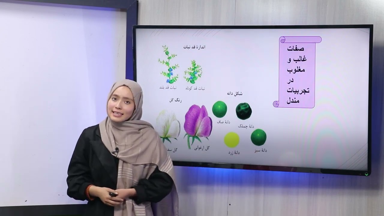 32 صنف دهم مضمون بیولوژی صفات ارثی اهمیت بارزیت نیمه بارز نمودار شدن فینوتایپ سومی