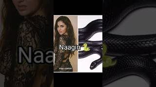 All Hottest Naagins In Indian Television