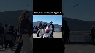 Not Only Humans, Birds And Nature Also Celebrate