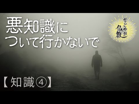 仏教の指導者はしっかり選びましょう《知識④》仏教を正しく伝えない悪知識の恐ろしさについて【なごやか仏教116】