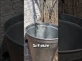 Harvesting water from a tree