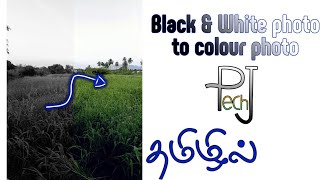 Black And White Photos Into Colour PhotospjtecheditingcolorizeதமழலTamil