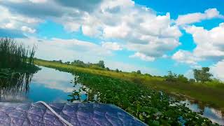 Everglades Airboat ride 2017