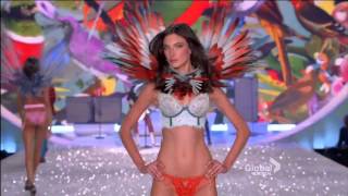 The Victoria's Secret Fashion Show 2013 - Fall Out Boy - Birds of Paradise