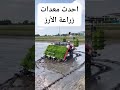 شتل الارز بمعدات بالذكاء الاصطناعي الأرز الارز المعمر  اكسبلور  الجيلي