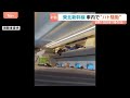 きょう8月10日は「鳩の日」　東北新幹線の車内にハトが迷い込む　ハトも帰省？｜TBS NEWS DIG