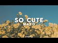 SO CUTE MAYO Lyrics mp3