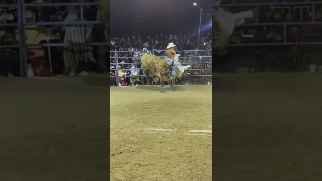 porque los hombres viven menos?