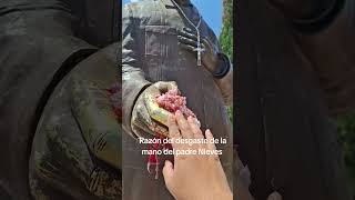 Razón del desgaste de la mano de la Estatua del padre Ricarno Nieves en Rincón de Romos Ags