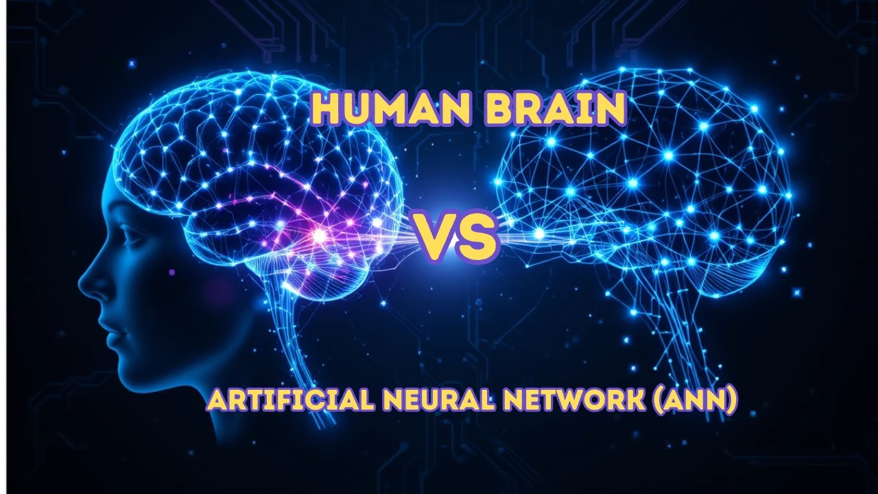 Python & Machine Learning Lesson 8| Human Brain vs Artificial Neural ...