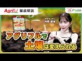 【プロ農家必見】土壌が変え、収量を伸ばす！アグリフルの機能と効果を徹底解説