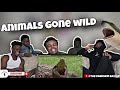 SHE GOT SWALLOWED 👀 11 Humans Found Inside Animals Reaction!