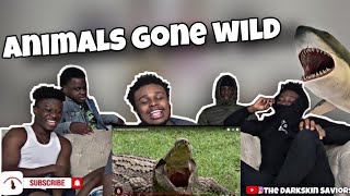 SHE GOT SWALLOWED 👀 11 Humans Found Inside Animals Reaction!