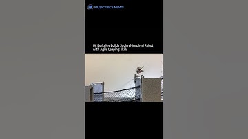 Robo-Squirrel Is Real — And It Can Leap Like the Real Deal! #success #successmindset