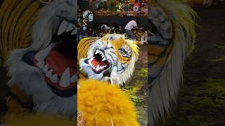 Macan Ntm Ngesti Rahayu Turonggo Manunggal shorts barong barongan