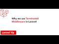 Laravel Tip | Terminated Middleware in Laravel | How to use terminated Middleware in Laravel