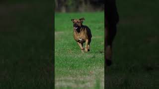 Be the first to schedule your appointment today