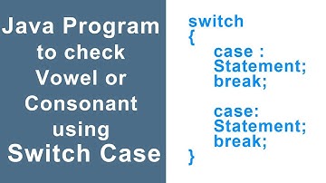 How to check a vowel or consonant in java