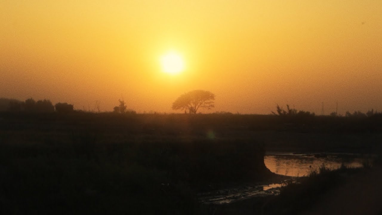 Distance Silence Peace Meaning Quotes