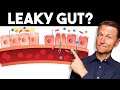 7 signs of a leaky gut  dr berg