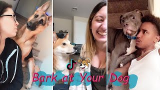Bark at Your Dog Challenge  TikTok Compilation 2023 #1