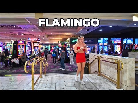#Shorts Crazy #Jackpot on $10 Dragon Link Bet! #slot