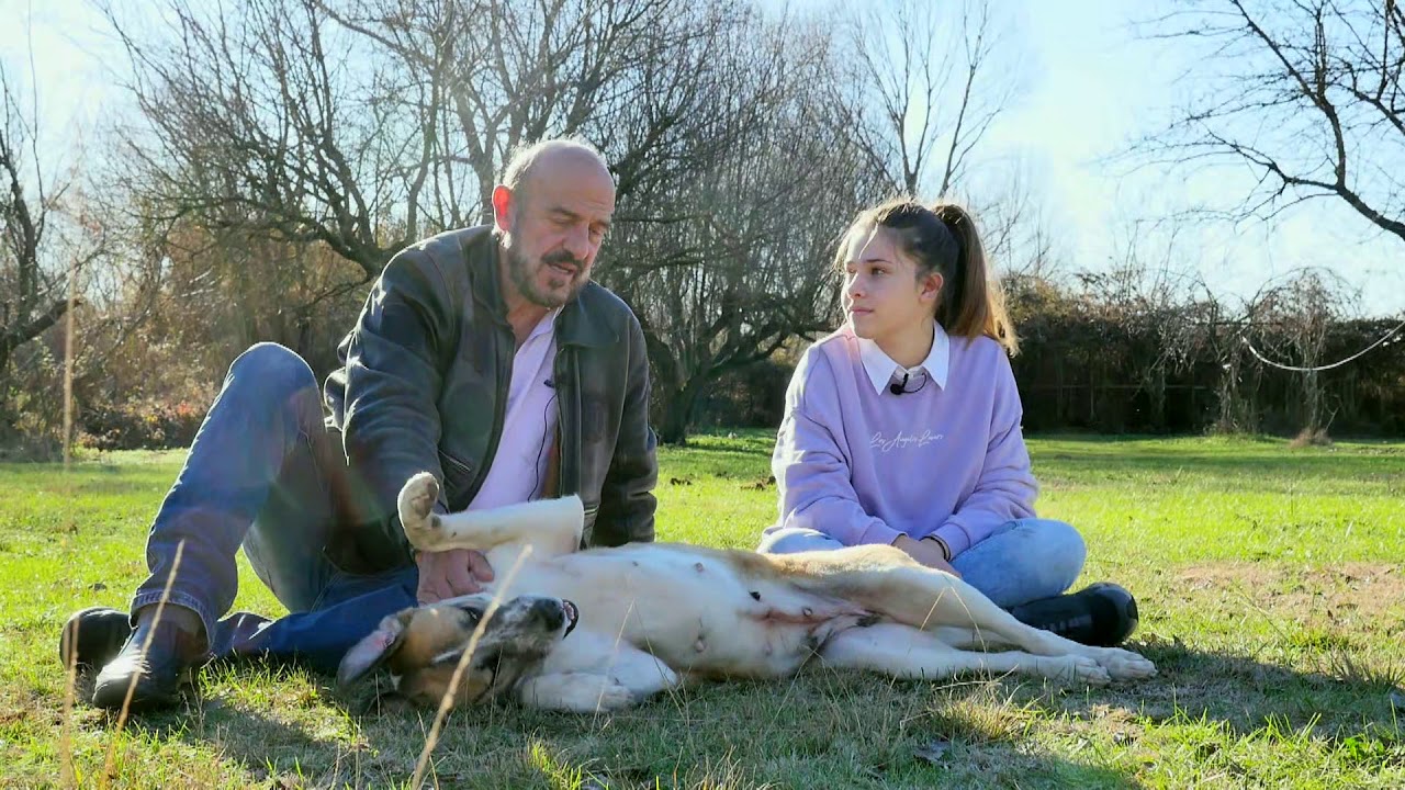 22. Αρχαία Ελληνικά. Ι. Χρυσόστομος, (349 μ.Χ.) «Ρητό Δαυίδ». Ελεημοσύνη, Β΄ Γυμνασίου. Βαλτε  HD!