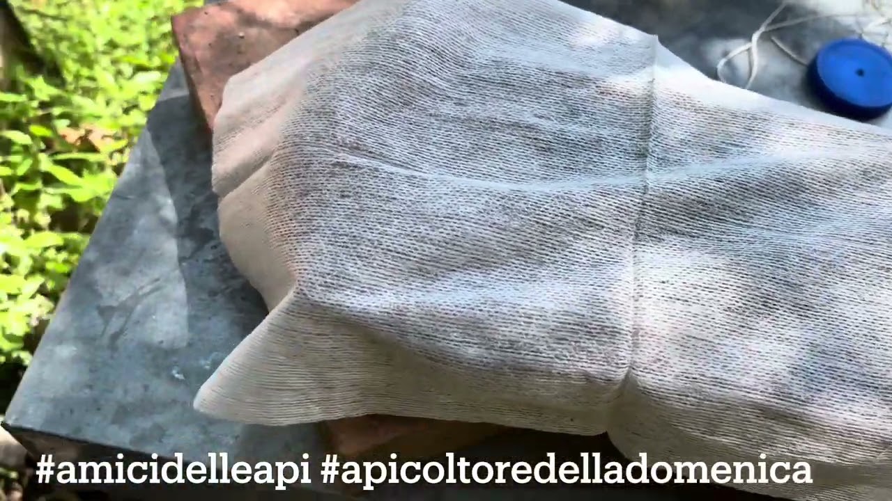 Trappola per vespa velutina (esperimento)