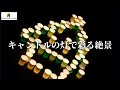 【メリークリスマス!】未来を担う若者とキャンドルで繋がる!毎年恒例の大栗川キャンドルリバー!【Light the Future with Candles】