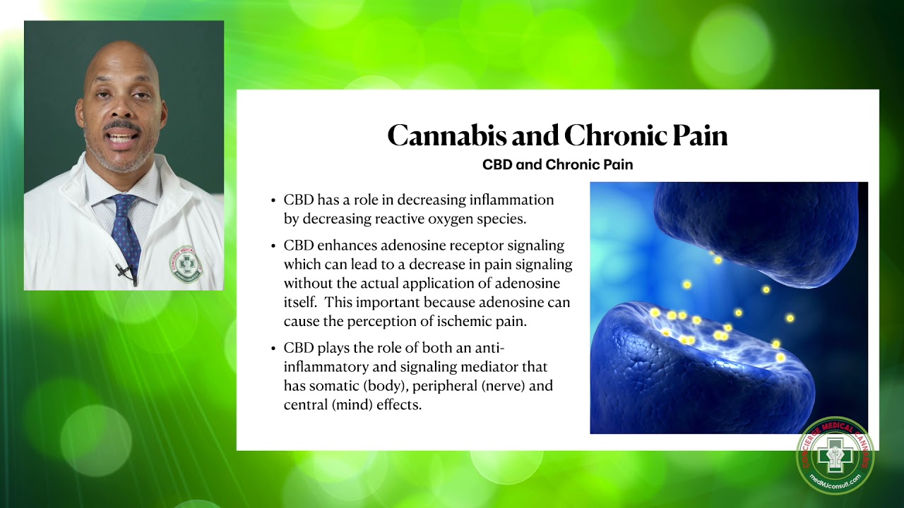 Cannabis and Chronic Pain